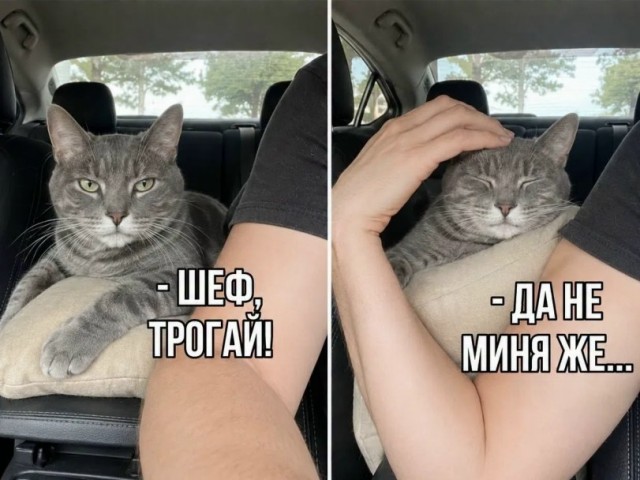 Немного картинок во вторник