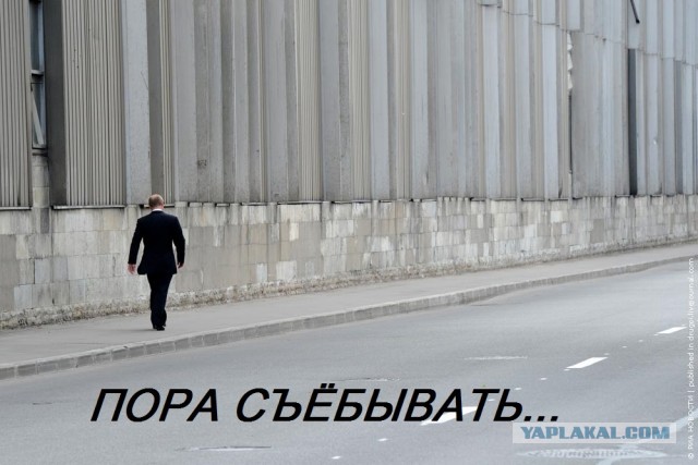 Единоросса Исаева сняли с рейса за дебош