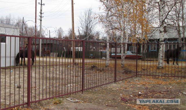 3 дня на Оби, октябрь 2013 г.