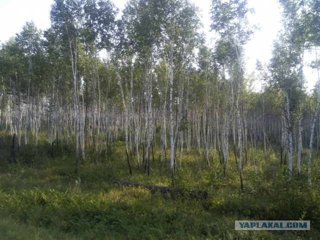 ВелоОтпуск