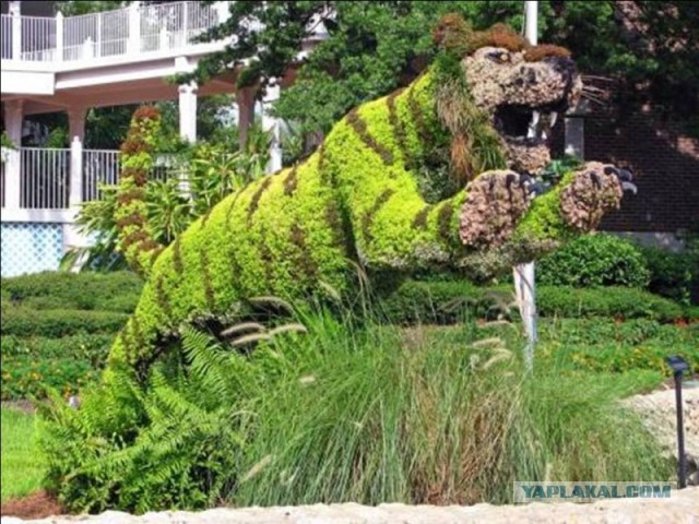 Плюсомет со шпалометом