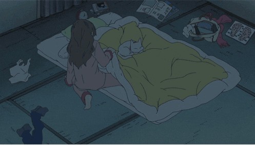 Ложишься спать? Не смей будить котэ!