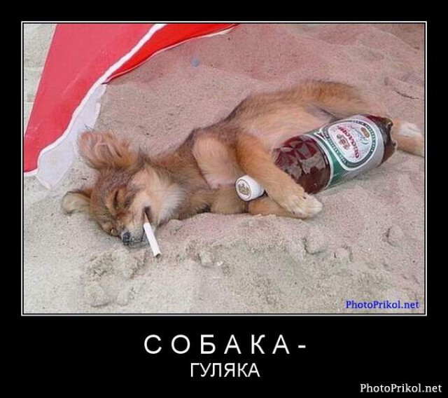 Картинка к пятнице