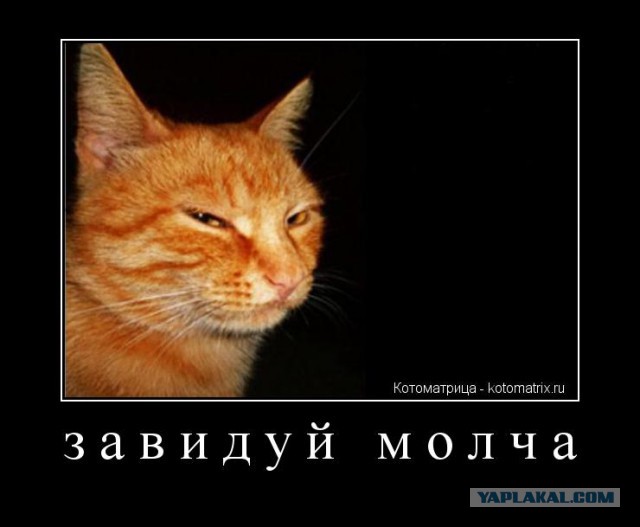 Подборка весёлых картинок