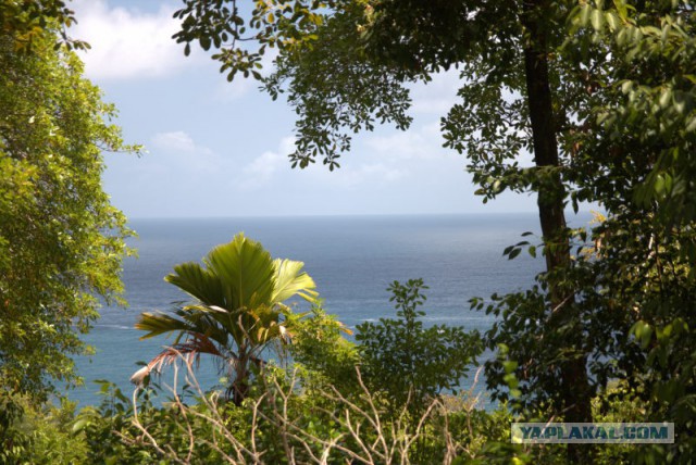 Отчет об отпуске на Сейшельских островах.