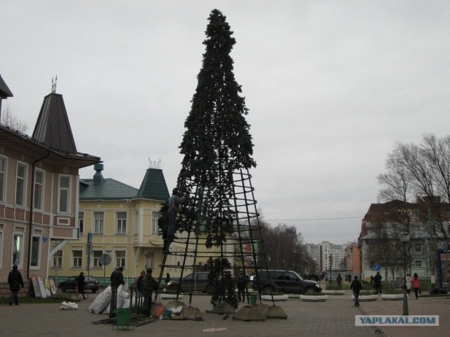 Ёлочка