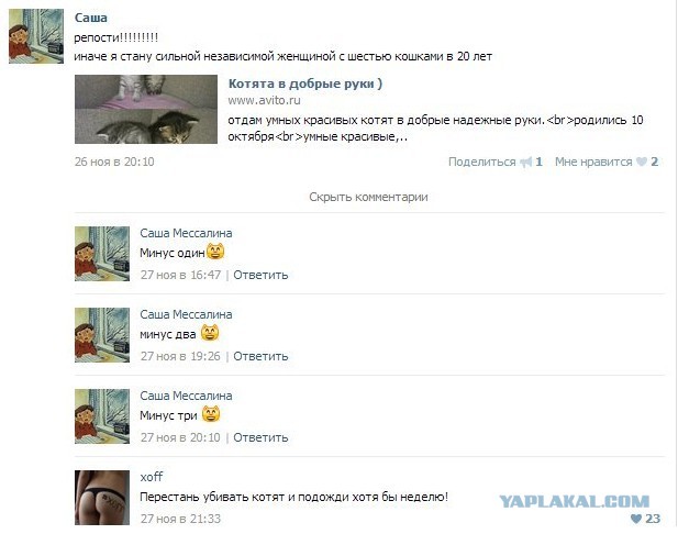 Пожалейте котят