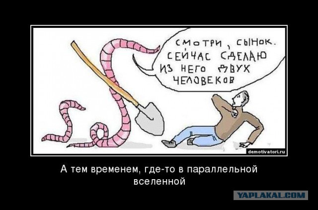 9 картинок из параллельной вселенной