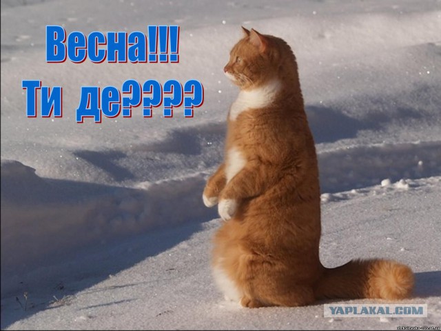 Где-где?