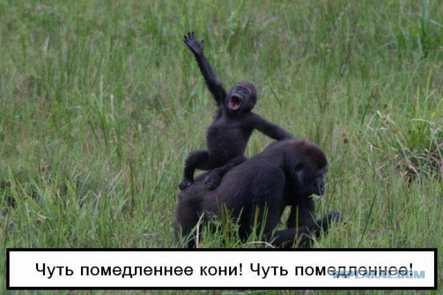 Традиционная пятничная подборка ВК и не только