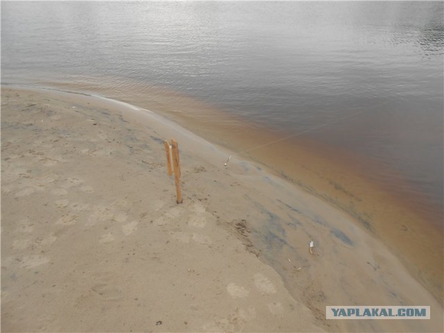 Как я провёл эти выходные