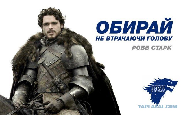 Выборы-выборы! Кандидаты... молодцы.