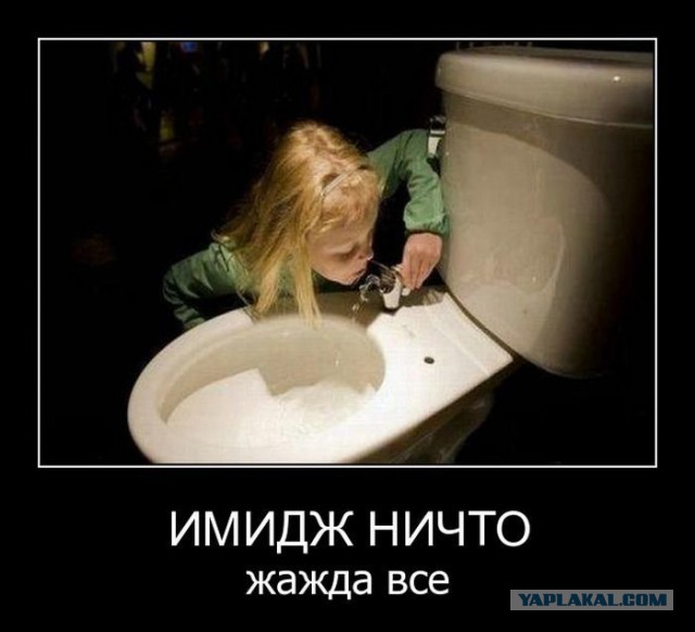 Интересные и веселые картинки