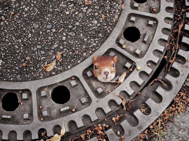 А что это вы здесь делаете?