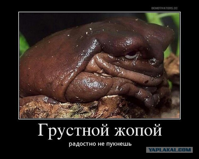 Демотиваторы