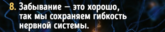 Факты о работе мозга, которые доказывают, что мы способны на все