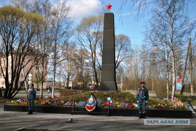 Абсурдная новость. 21 июня 2017 года