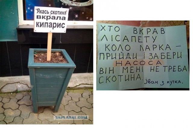 Веселые картинки и прочие отфотошопленные постеры