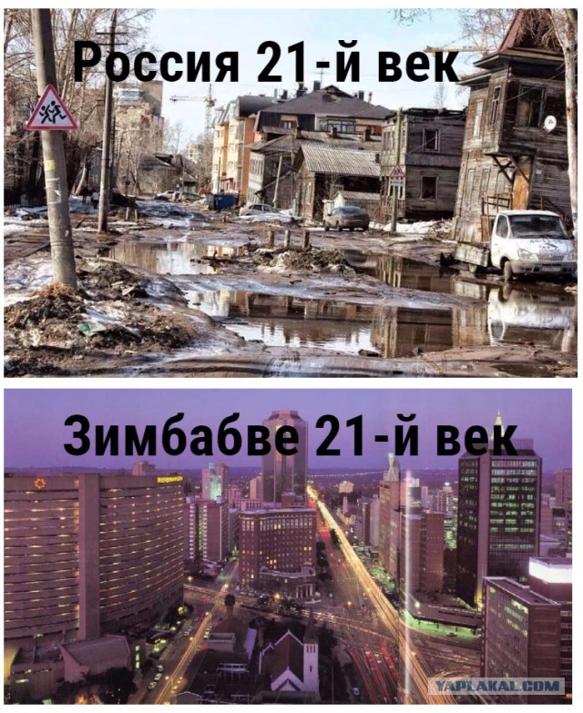 «Я влюбилась в Африку — безумно и навсегда». Россиянка переехала в Зимбабве, вышла там замуж и осталась работать на ферме