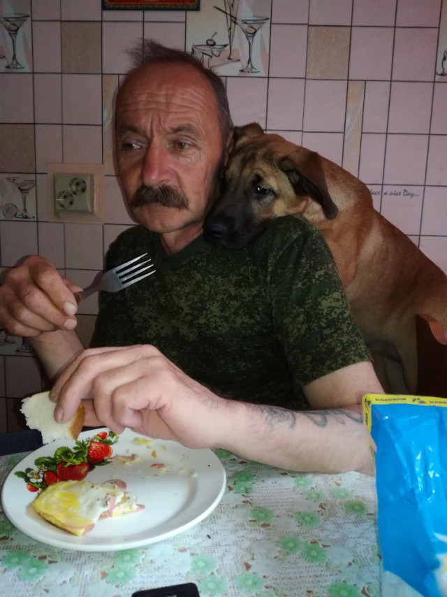 Живность из сети