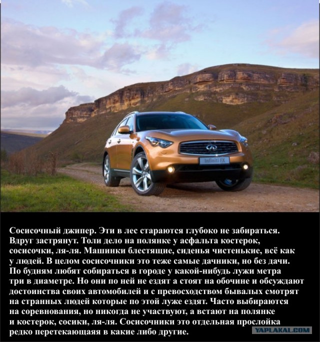 Водители в пробке