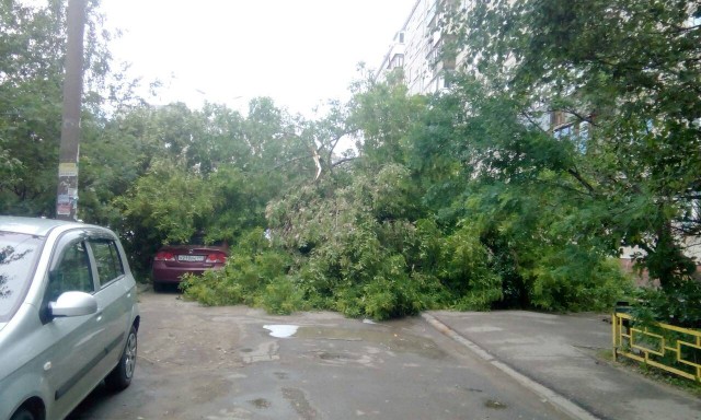 В Нижнем Новгороде ураган вырывает деревья с корнем и переворачивает машины