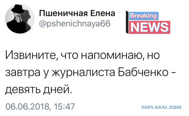 Смешные комментарии из социальных сетей 09.06.2018