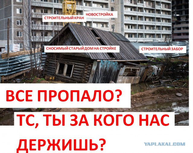 Где деньги Зин?