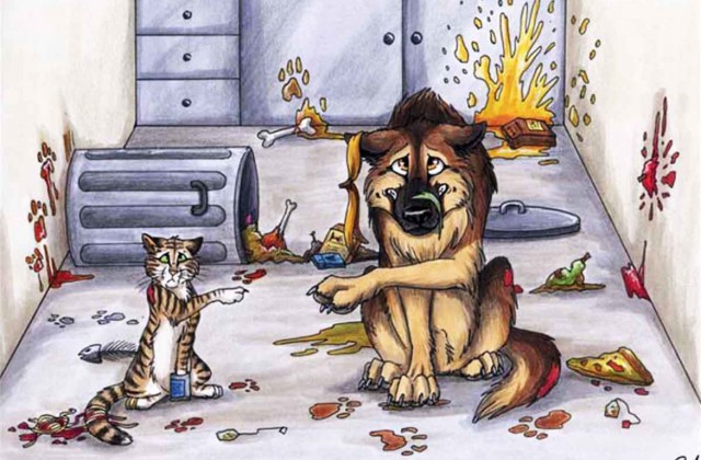 Кошки или собаки?