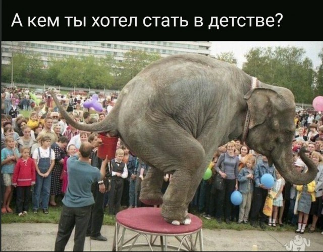 Субботние лубочные картинки обо всём
