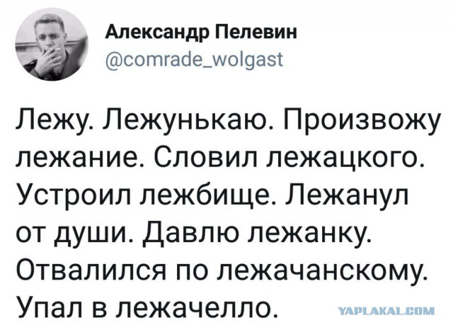 Прикольные комментарии и высказывания из Сети 24.10.2018