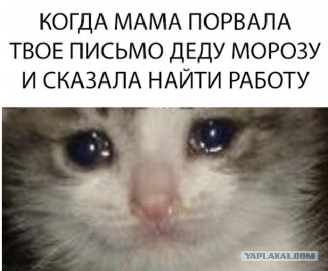 Разные по свежести картинки