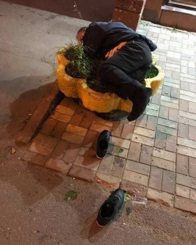 Скотсети и прочие интернеты 25.04.2019