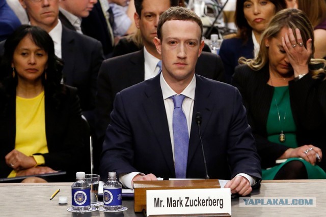 Почему у Facebook синяя палитра цветов?