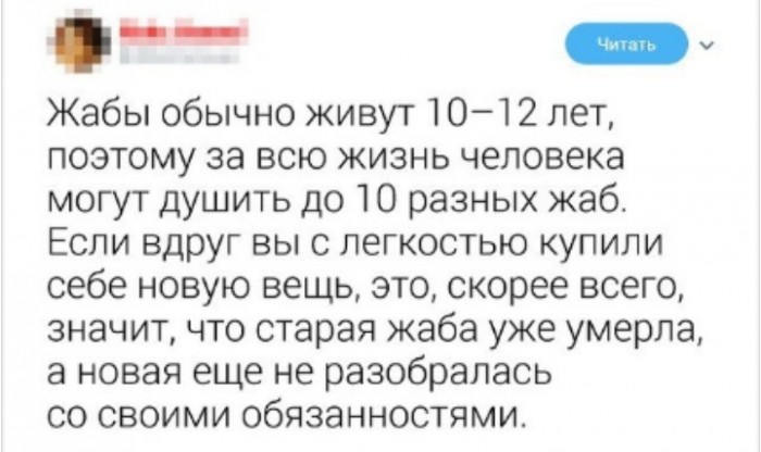 Прикольные комментарии и высказывания из Сети