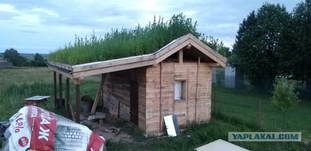 Е-Баня. Или «…Я его слепила из того…»