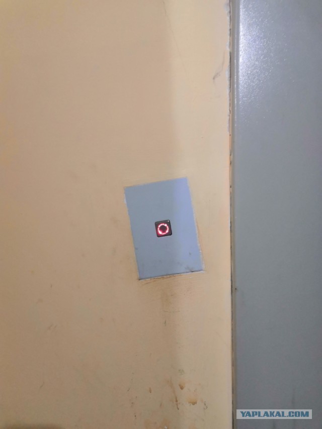 Это уже ни в какие ворота...
