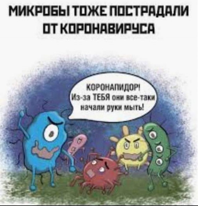 Бредзона 1.11.20