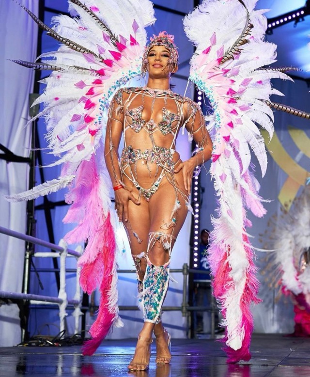 Карнавальных птичек пост