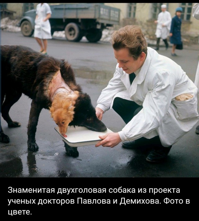 Идиотские картинки