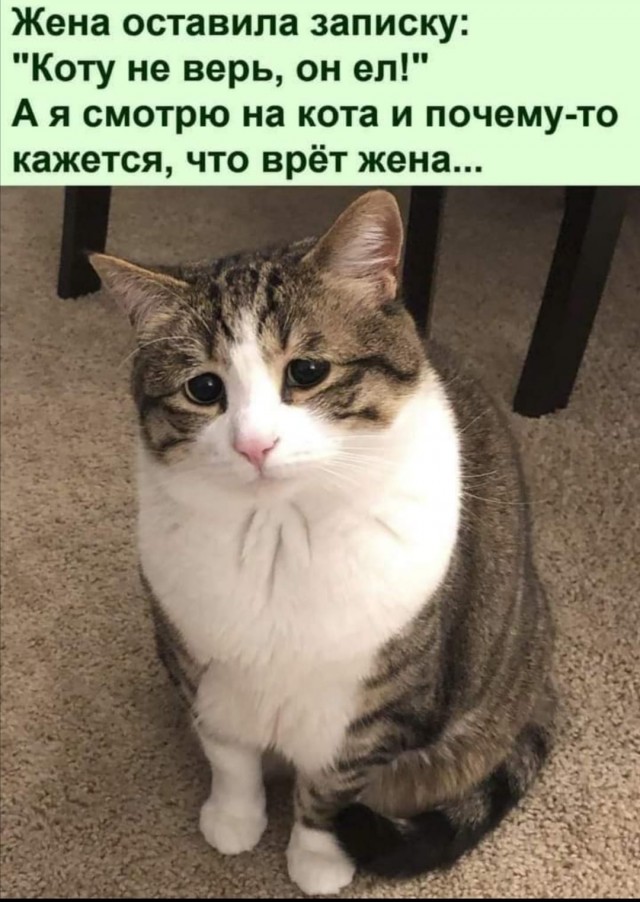 Картинки разные 27.04.2021