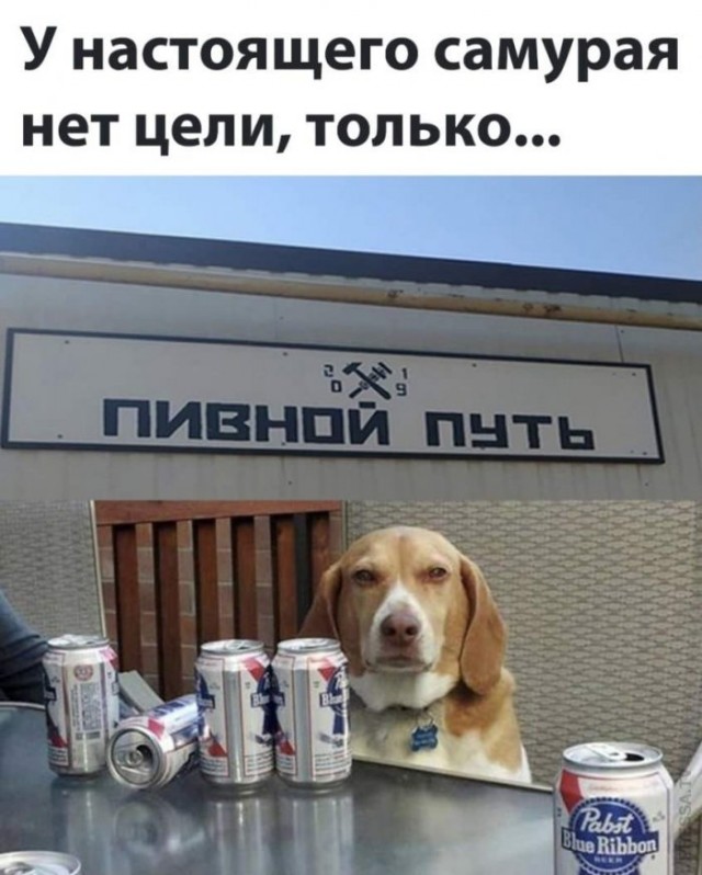 Картинки и мемы для настроения 19.05.2021