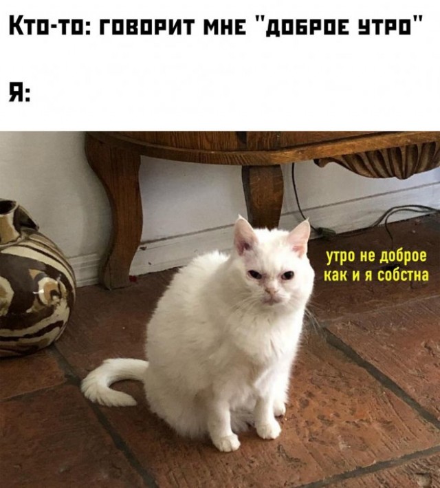 Картинки и мемы для настроения 12.07.2021