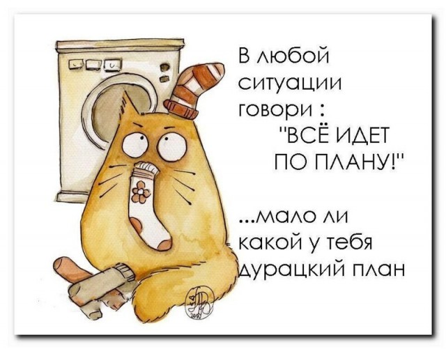 Баянисто-небаянистый юмор 15.08.21