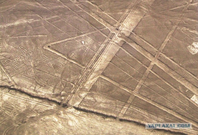 «АРАЛЬСК-7»: Странная жизнь после смерти ...