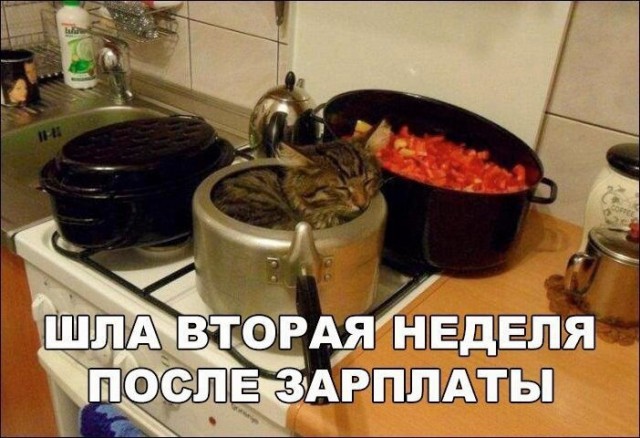 Так себе картинки 17.08.21
