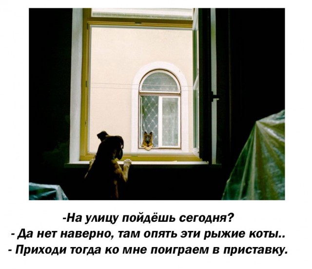 Рыжие гопники напали на черного