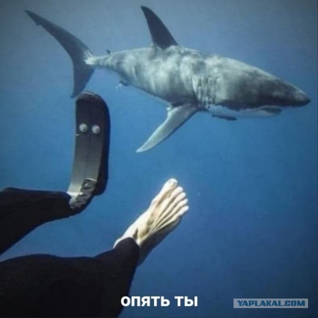 Так себе картинки 23.09.21