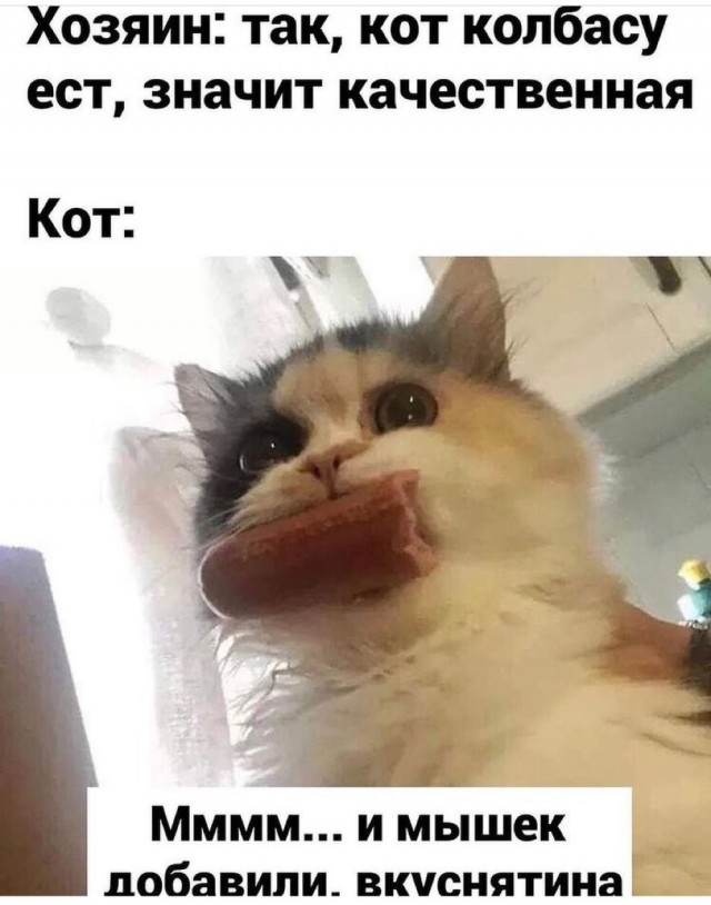 Юмор и прикольные картинки 11.10.2021