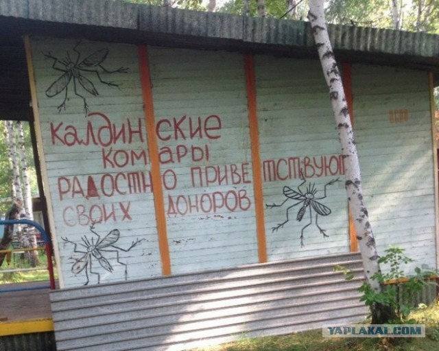 Картинки из прошлого 1.0